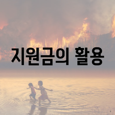 지원금의 활용
