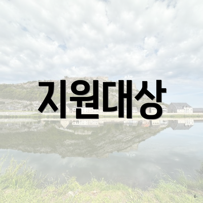 지원대상