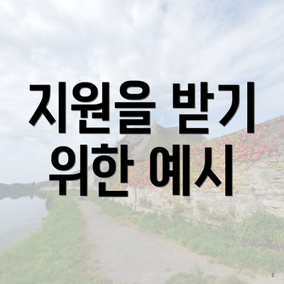 지원을 받기 위한 예시