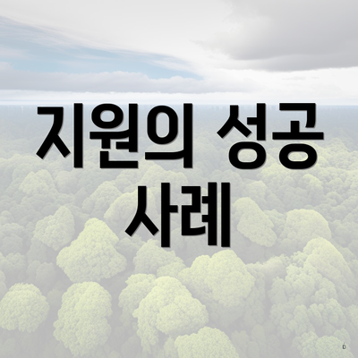 지원의 성공 사례