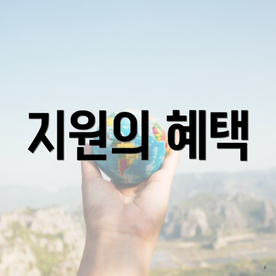지원의 혜택