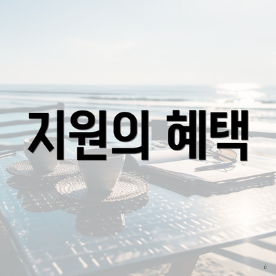 지원의 혜택