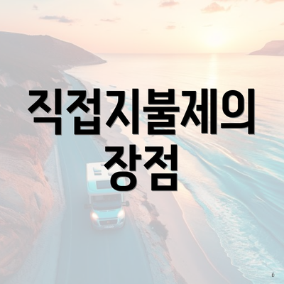 직접지불제의 장점