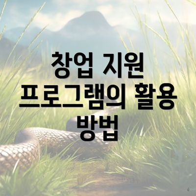 창업 지원 프로그램의 활용 방법