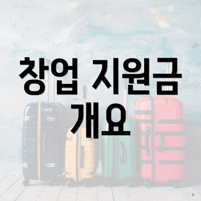 창업 지원금 개요