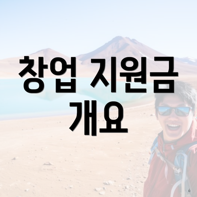 창업 지원금 개요