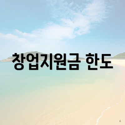 창업지원금 한도