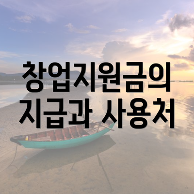 창업지원금의 지급과 사용처