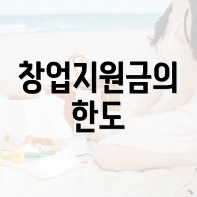 창업지원금의 한도