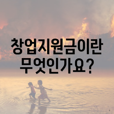 창업지원금이란 무엇인가요?