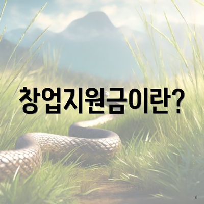 창업지원금이란?