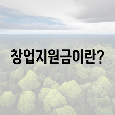 창업지원금이란?
