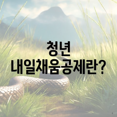 청년 내일채움공제란?