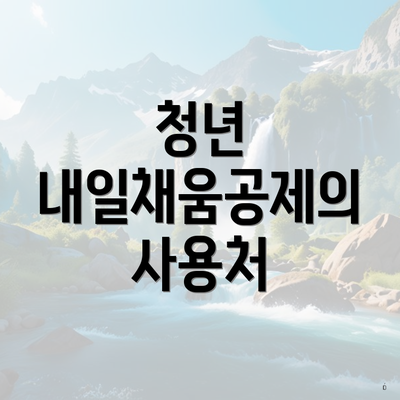 청년 내일채움공제의 사용처