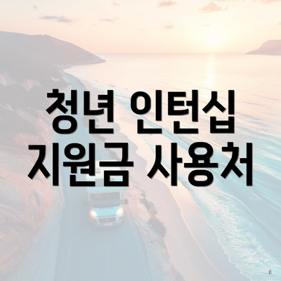 청년 인턴십 지원금 사용처