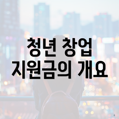 청년 창업 지원금의 개요