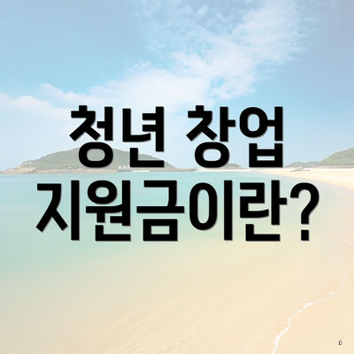 청년 창업 지원금이란?