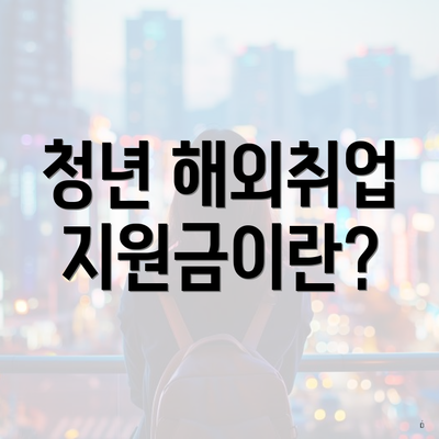 청년 해외취업 지원금이란?