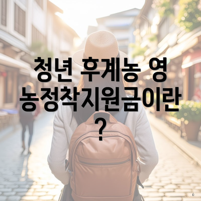 청년 후계농 영농정착지원금이란?