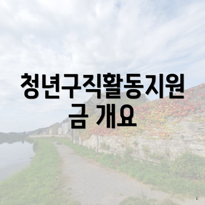 청년구직활동지원금 개요