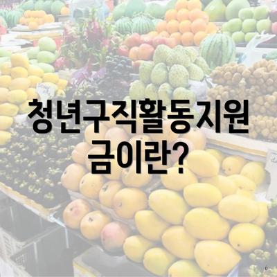 청년구직활동지원금이란?