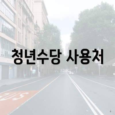 청년수당 사용처