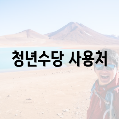 청년수당 사용처