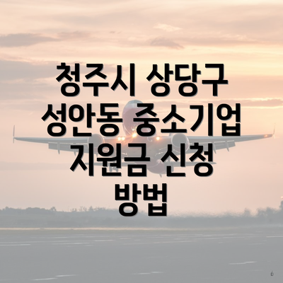 청주시 상당구 성안동 중소기업 지원금 신청 방법