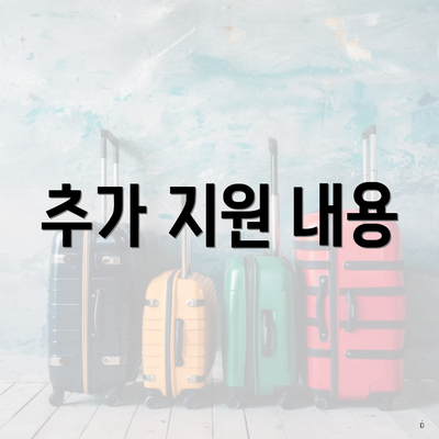 추가 지원 내용