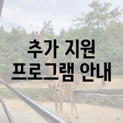 추가 지원 프로그램 안내