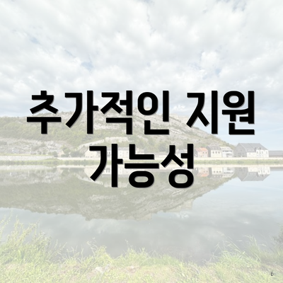 추가적인 지원 가능성