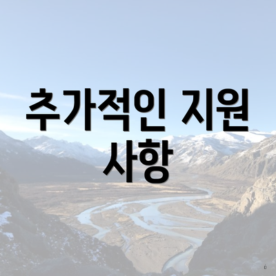 추가적인 지원 사항