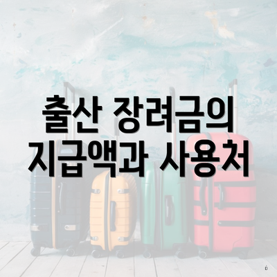 출산 장려금의 지급액과 사용처