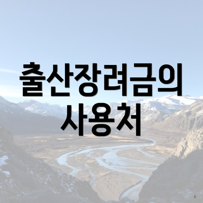 출산장려금의 사용처