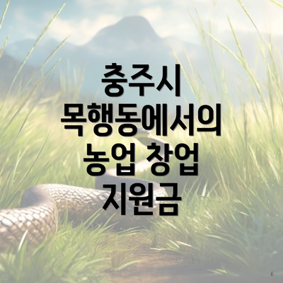 충주시 목행동에서의 농업 창업 지원금