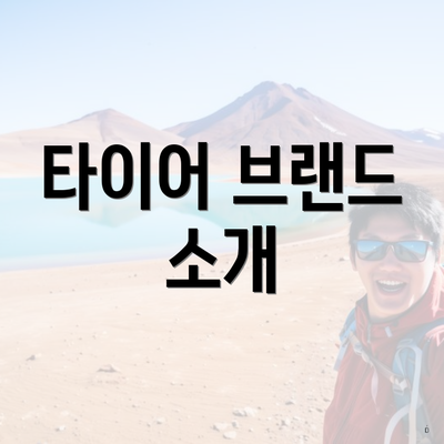 타이어 브랜드 소개