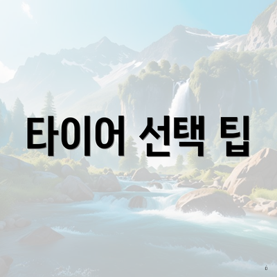타이어 선택 팁
