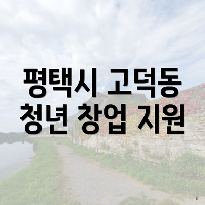 평택시 고덕동 청년 창업 지원