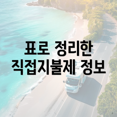 표로 정리한 직접지불제 정보
