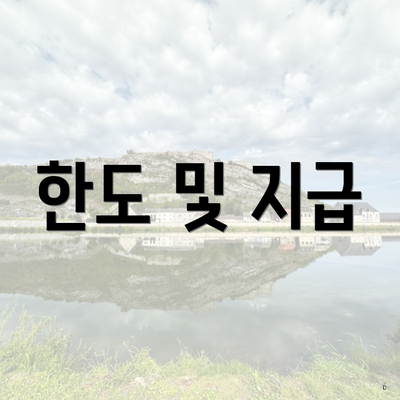 한도 및 지급