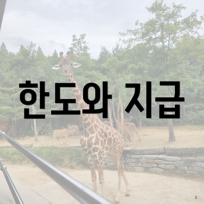 한도와 지급