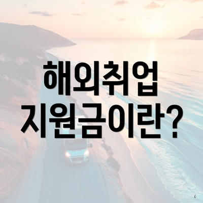 해외취업 지원금이란?