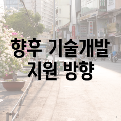 향후 기술개발 지원 방향