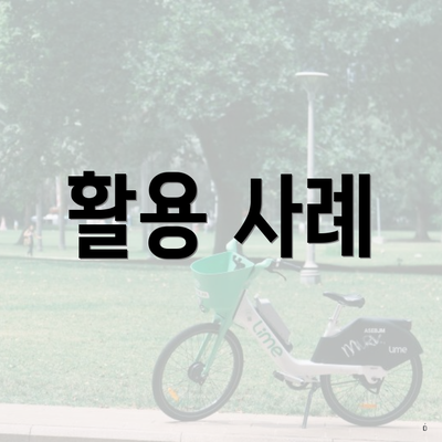 활용 사례