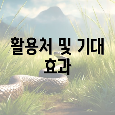 활용처 및 기대 효과