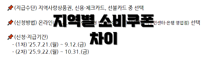 지역별 소비쿠폰 차이