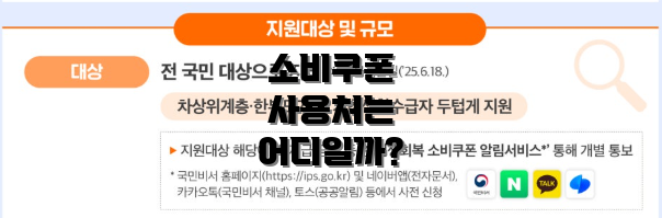 소비쿠폰 사용처는 어디일까?
