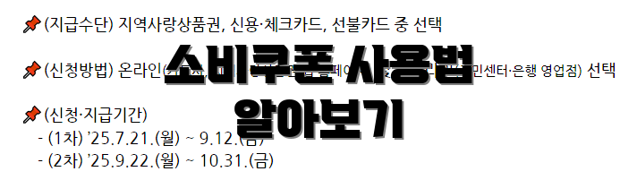 소비쿠폰 사용법 알아보기