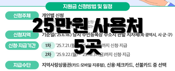 25만원 사용처 5곳