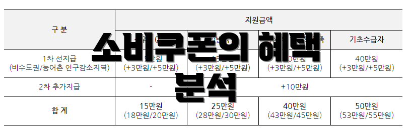 소비쿠폰의 혜택 분석